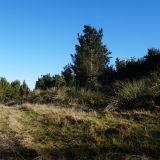 Refugio-Las-Garzas-1